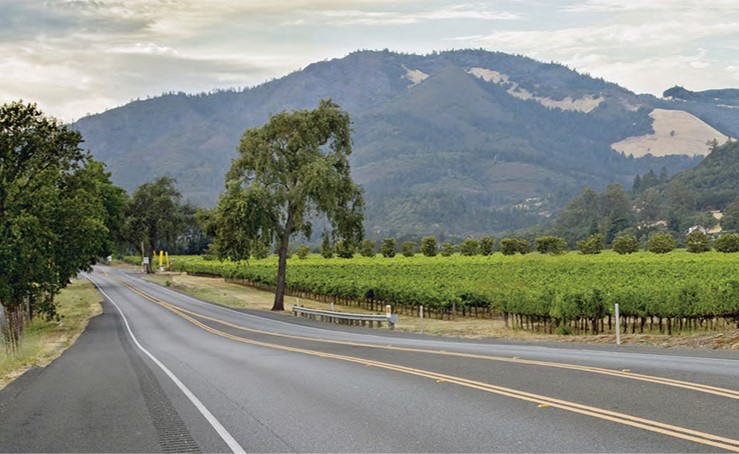 Highway Vineyards