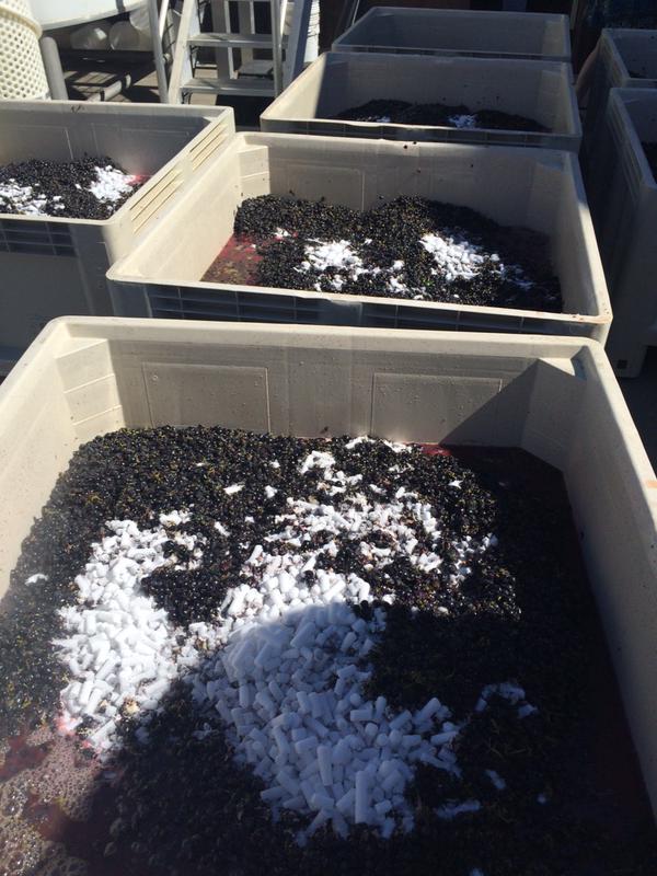 Dry ice keeps grapes cool and protects them from oxidation at Dutcher Crossing Winery