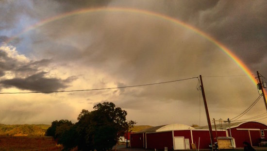 Rainbow after the rain at Kokomo Winery