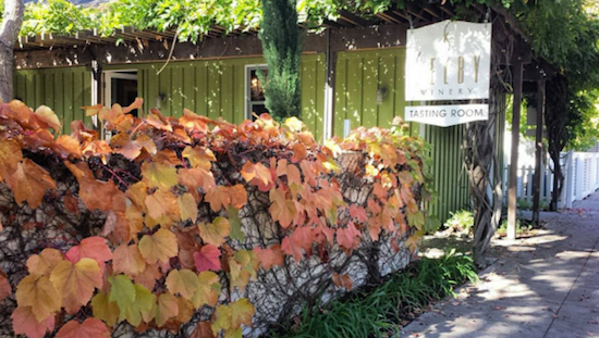 Fall leaves right outside Selby Winery's Healdsburg tasting room