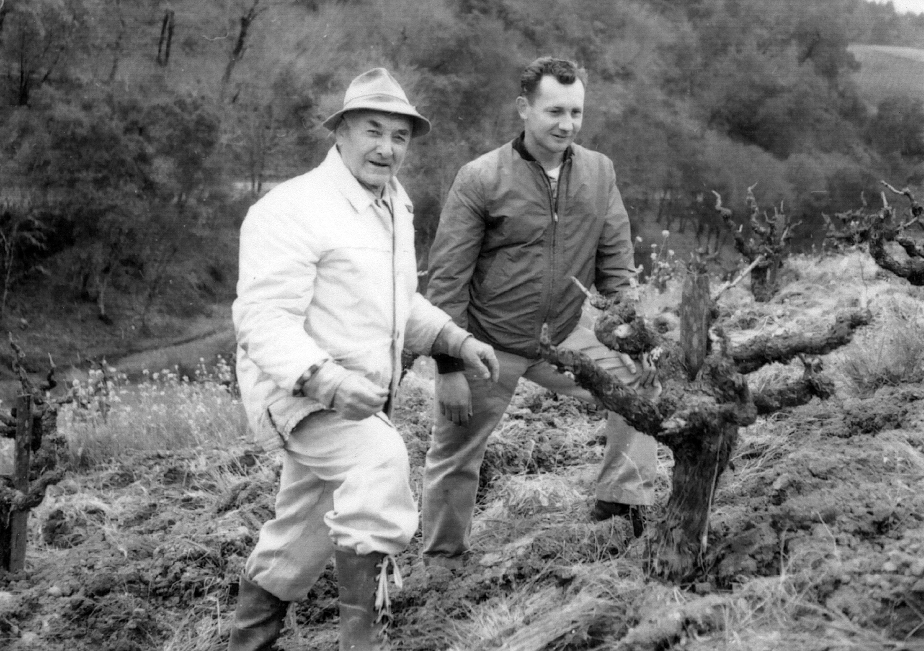 Giovanni (John Sr.) and John Pedroncelli (Jr.) in the vineyard (1)