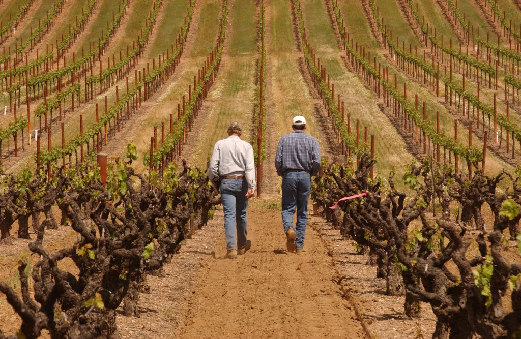 john-saini-and-peter